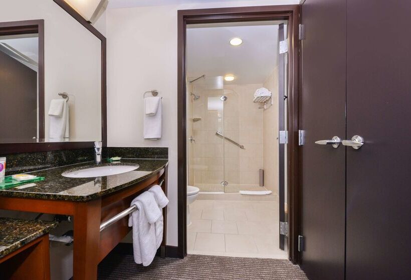 هتل Hyatt Place Herndon Dulles Airport   East