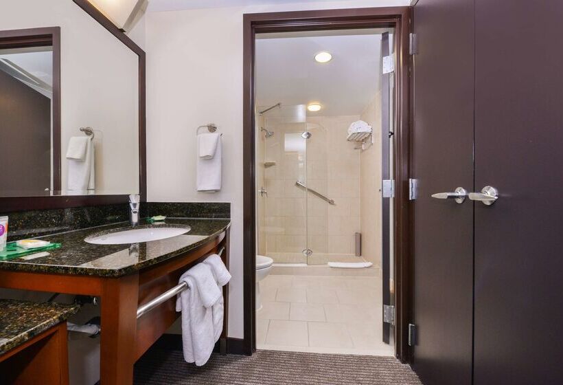 Hotel Hyatt Place Herndon Dulles East