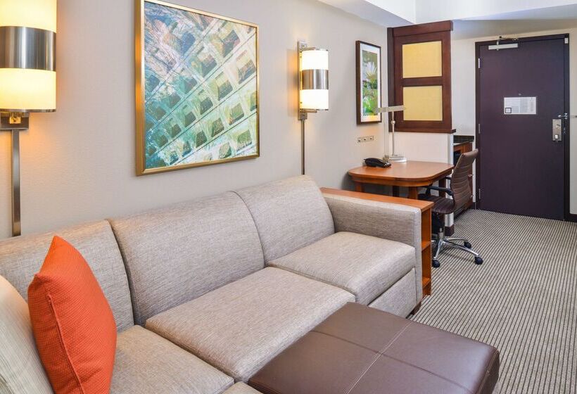هتل Hyatt Place Herndon Dulles Airport   East