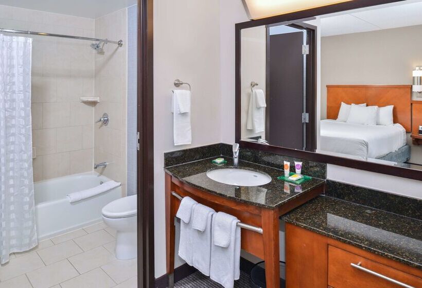 هتل Hyatt Place Herndon Dulles Airport   East