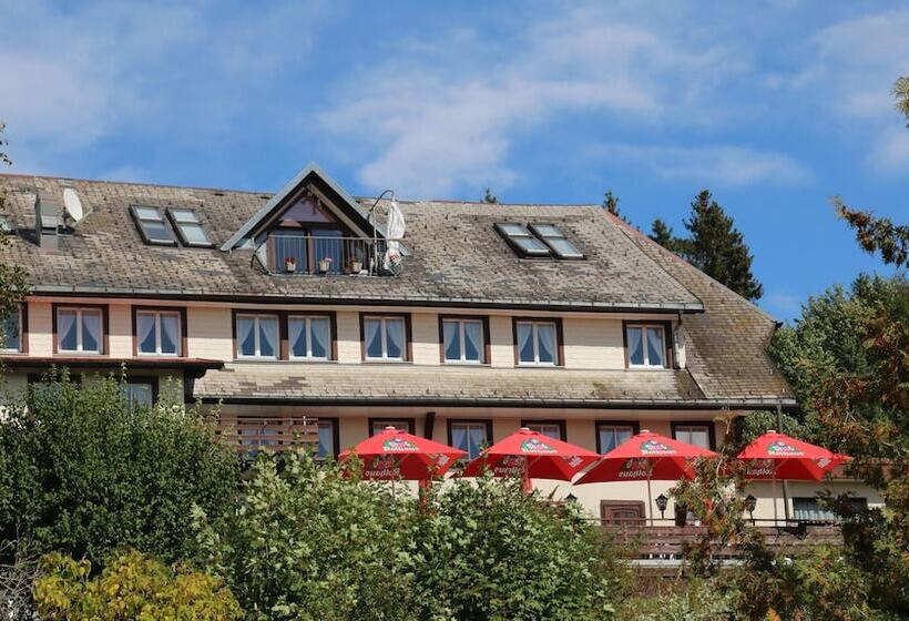 Hotel Landgasthof Adler