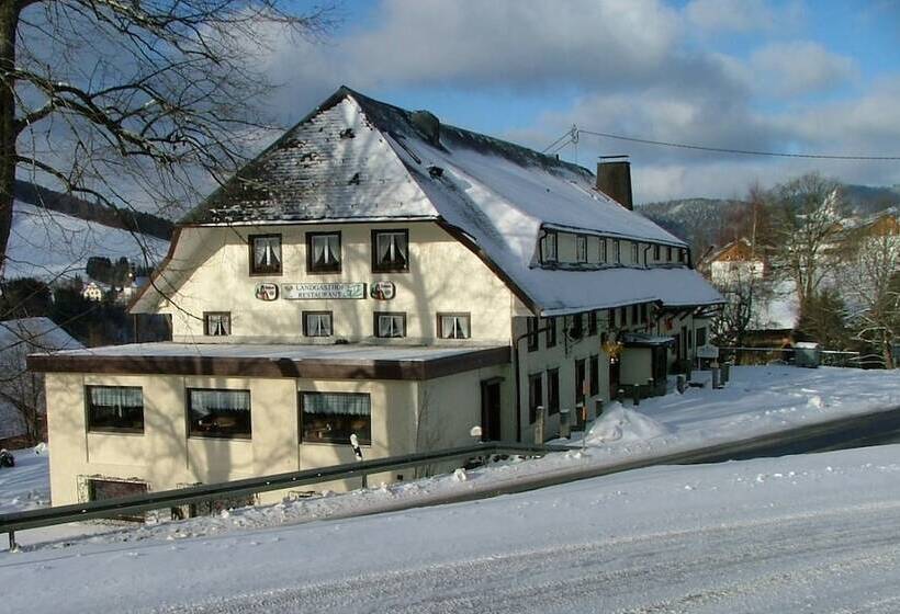 Отель Landgasthof Adler