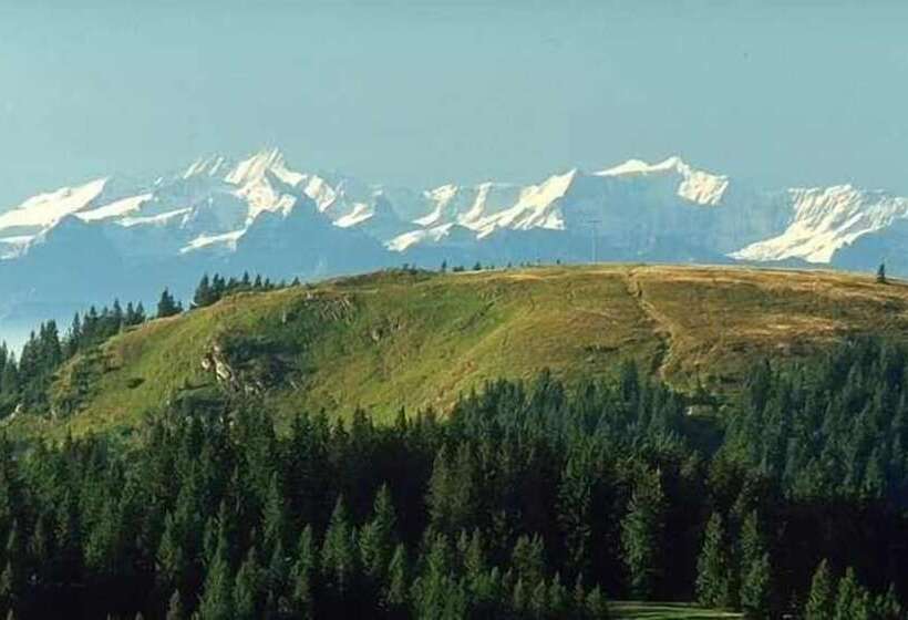 Отель Landgasthof Adler