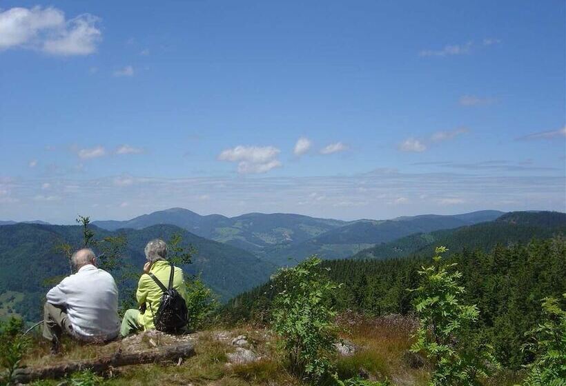 هتل Landgasthof Adler