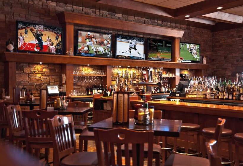 هتل The Lodge At Deadwood