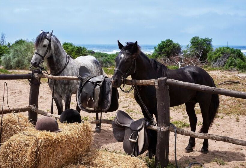 هتل Mazagan Beach & Golf Resort