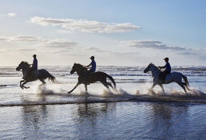 هتل Mazagan Beach & Golf Resort