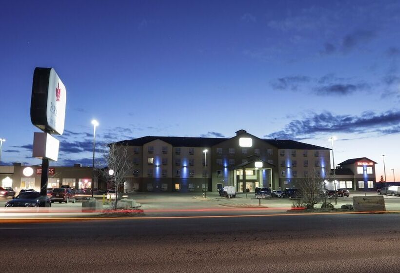 ホテル Paradise Inn And Suites