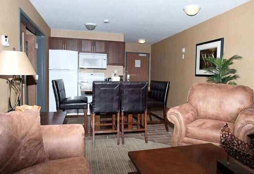 ホテル Paradise Inn And Suites
