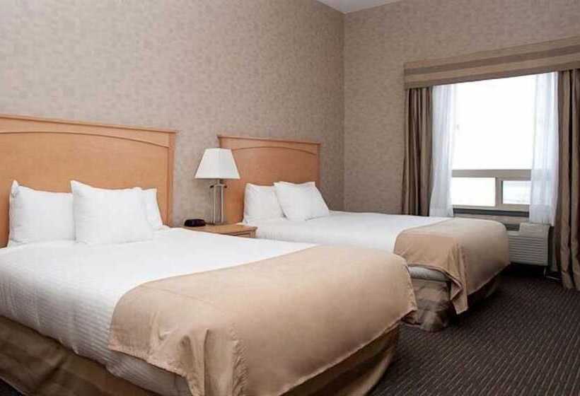 ホテル Paradise Inn And Suites