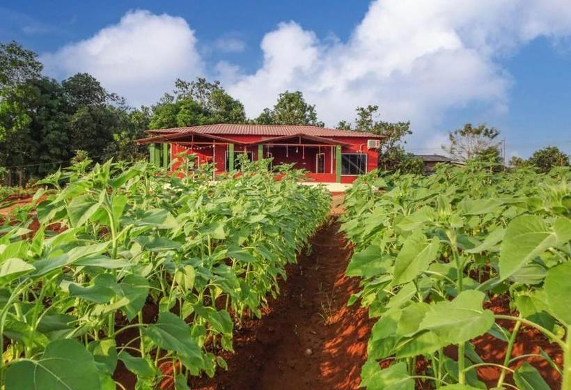 Bed and Breakfast Aarya Farm