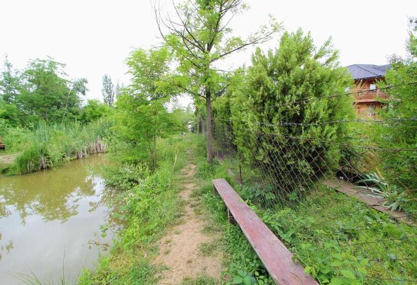 Bed and Breakfast фазенда змерега