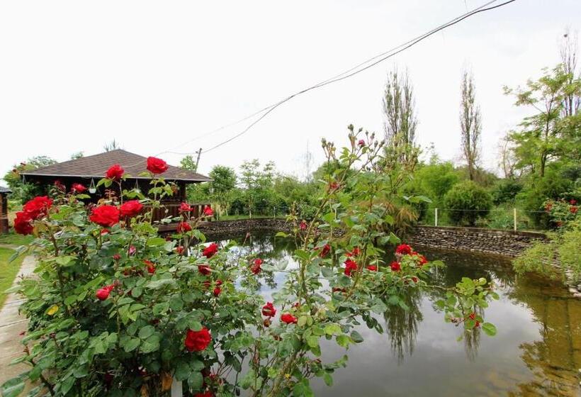 Bed and Breakfast фазенда змерега