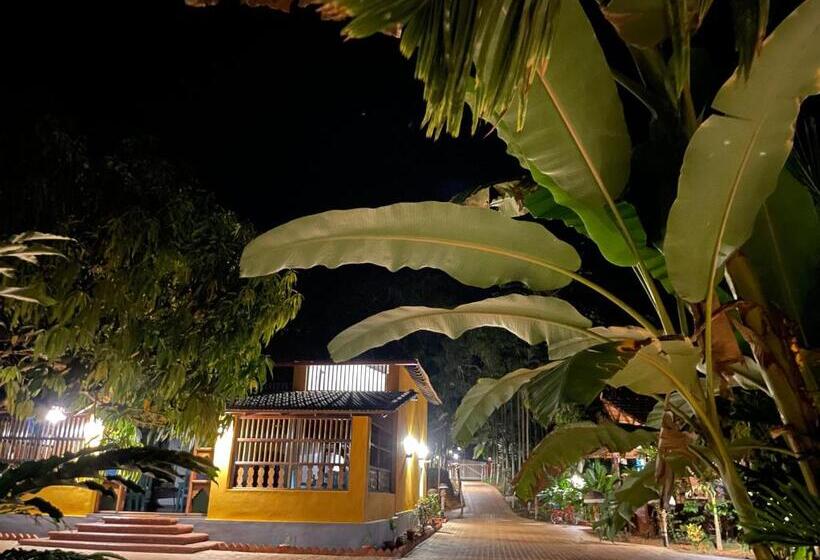 ホテル Areca County