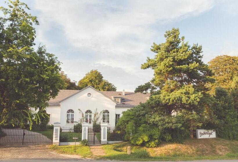 فندق Babérliget Kúria   Adults Only