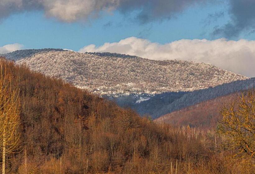 ペンション Nikol