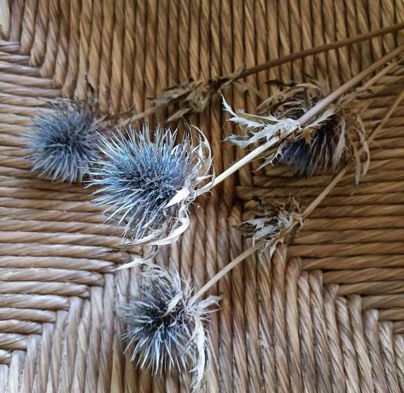 مبيت وإفطار Villa Rustico