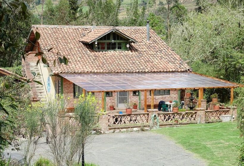 Gaia Sagrada Ayahuasca Retreat Center   Hostel