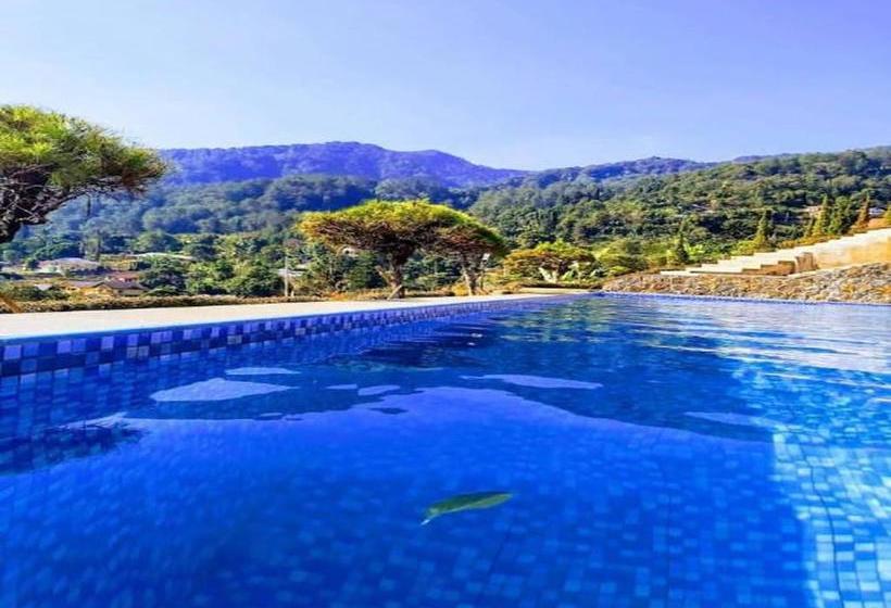 בית מלון כפרי Adang Zecky Resort