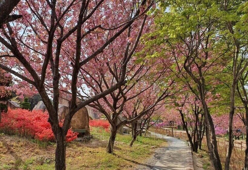 هتل Cheoksan Spatel
