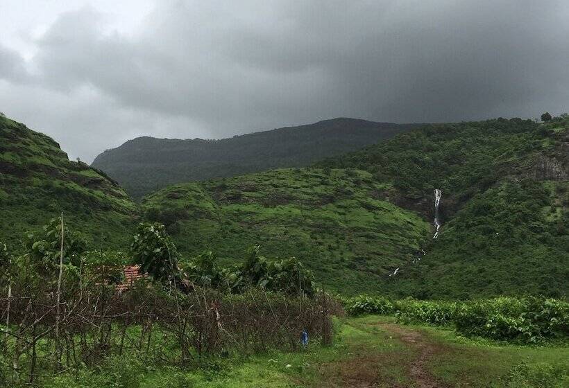 בית מלון כפרי Mango Tree Farm