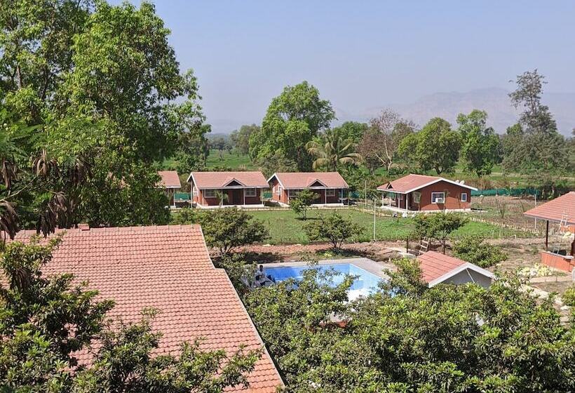 בית מלון כפרי Mango Tree Farm