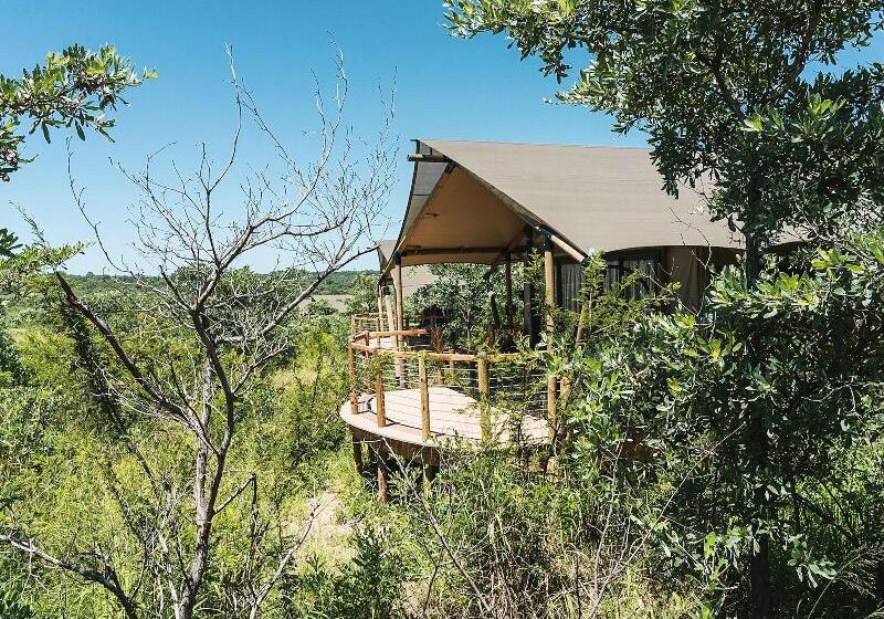 هتل Mdluli Safari Lodge