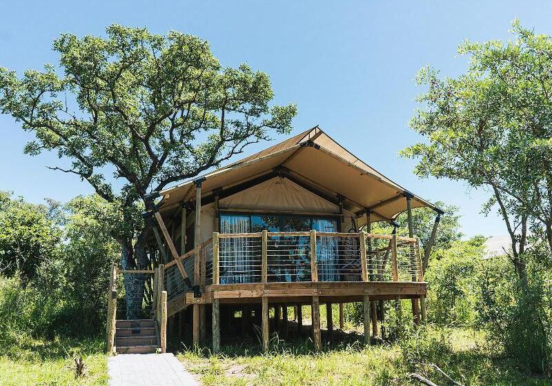 هتل Mdluli Safari Lodge
