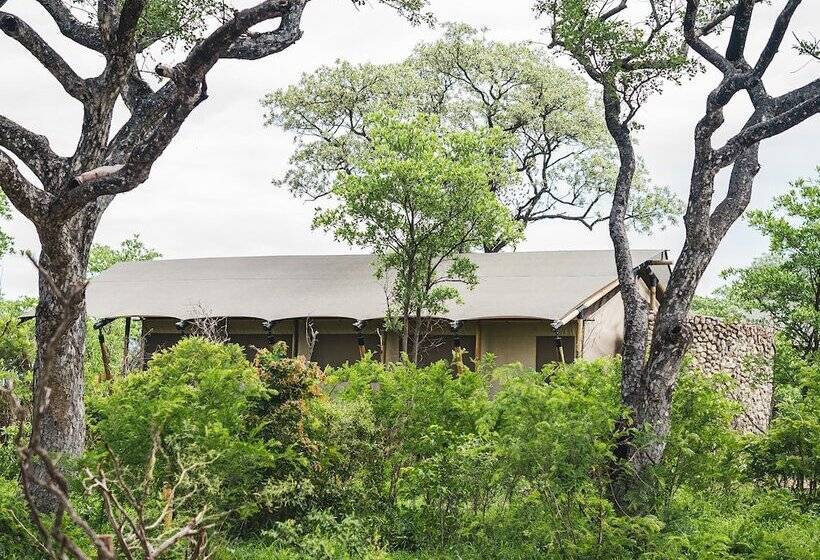 هتل Mdluli Safari Lodge