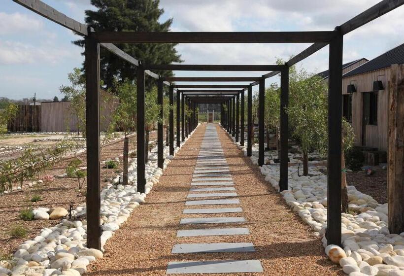 پانسیون The Farmstead