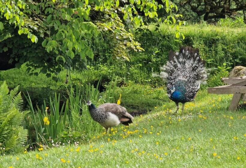 بنسيون Rowrah Hall