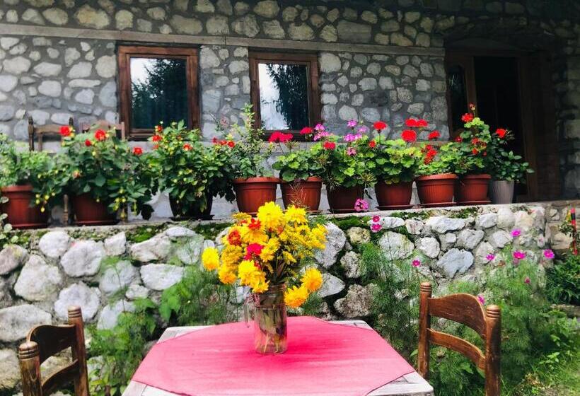 تختخواب و صبحانه Guest House Hyrmet Demushi