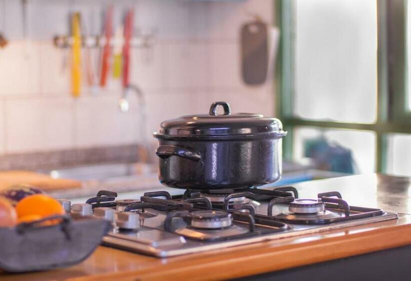 旅馆 Palafito Hospedaje Vista Bordemar