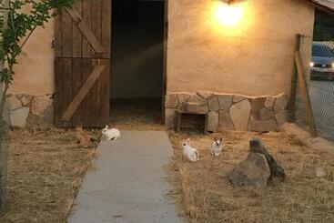 استراحتگاه Las Villas De Fuentidueña
