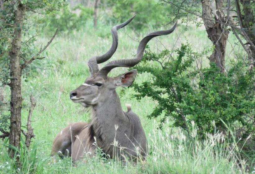فندق Nsele Safari Lodge