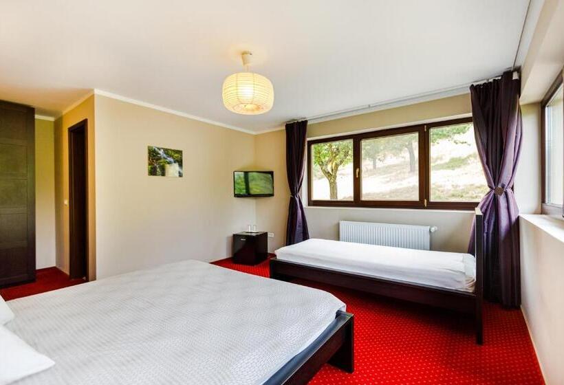 Pensiunea Decebal Resort   Cazanele Dunarii