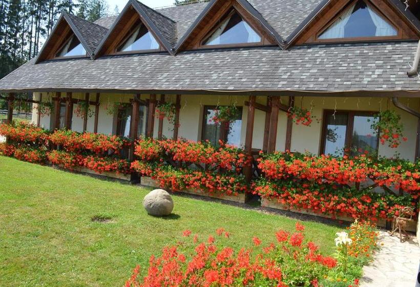 Pensiunea Inima Bucovinei