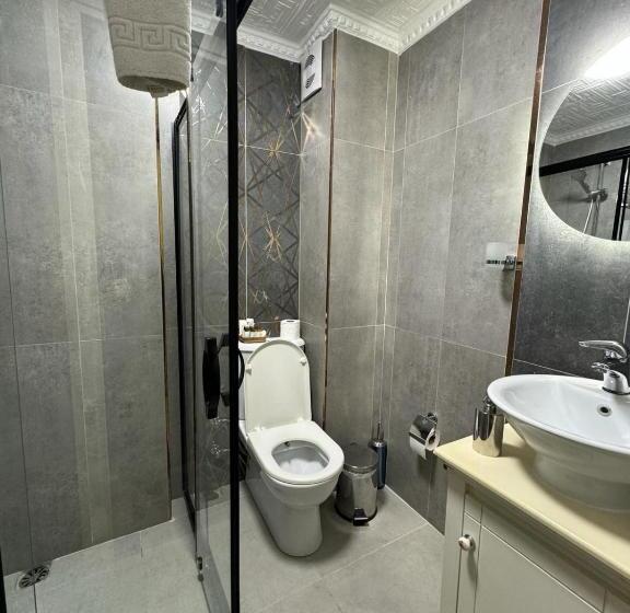 Fotos del hotel Aldem:  4