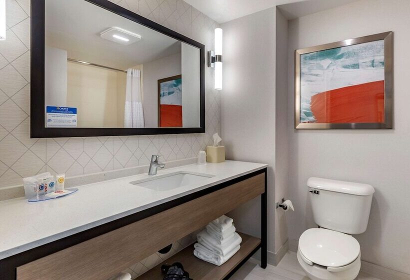 酒店 Comfort Inn & Suites