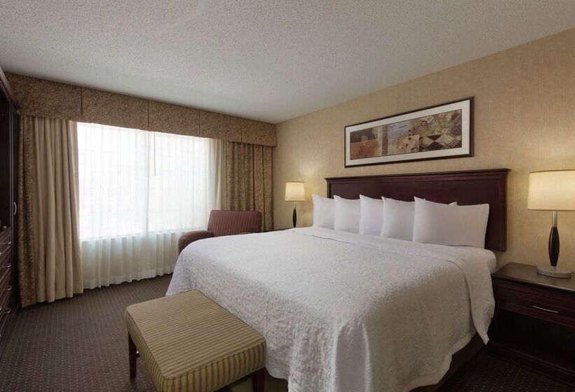 فندق Embassy Suites Lubbock