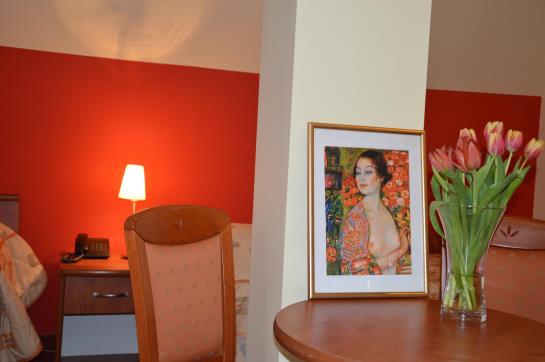 Fotos del hotel Vistula:  27