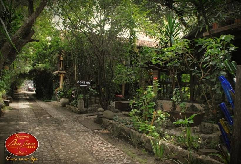 Fotos del hotel Hacienda Don Juan:  15