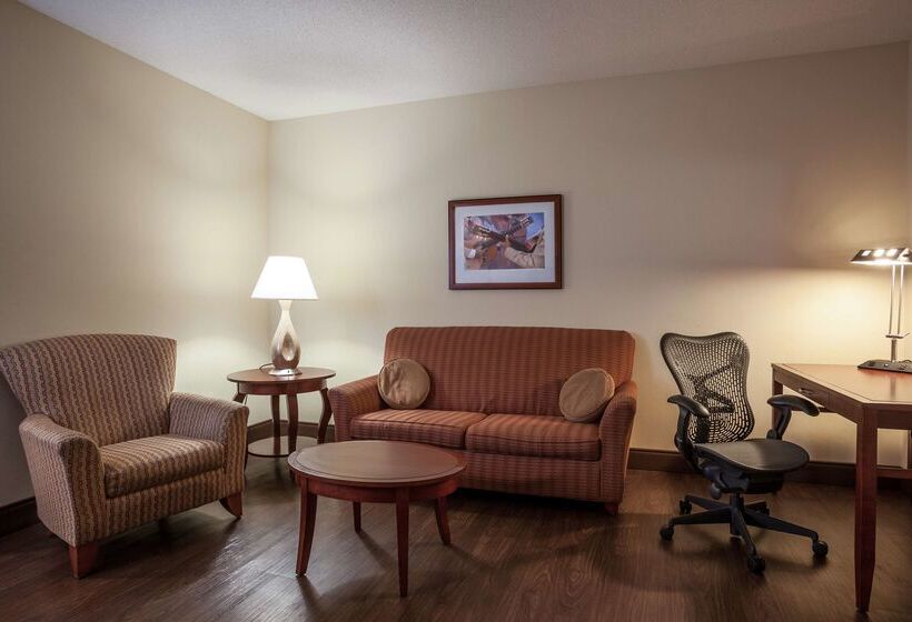 هتل Hilton Garden Inn El Paso / University