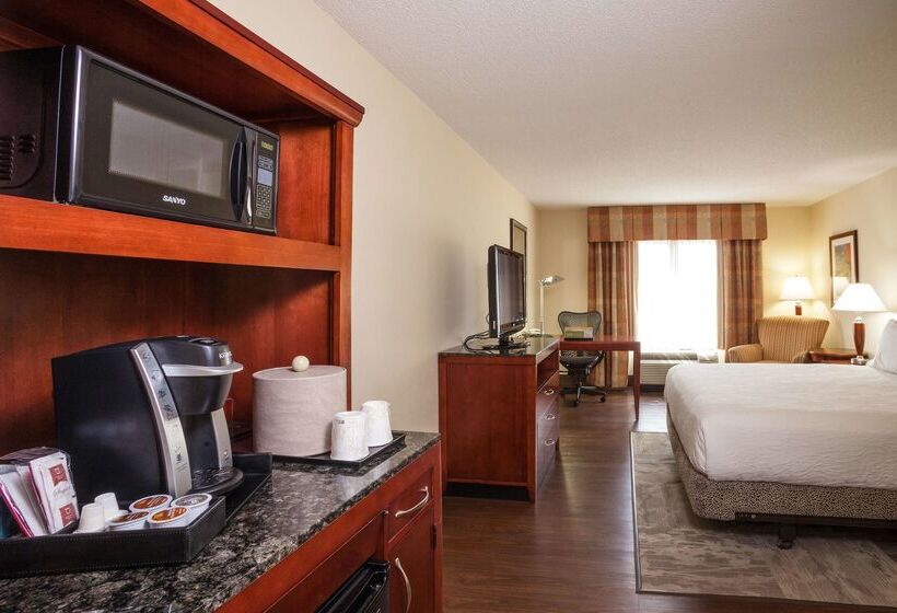 هتل Hilton Garden Inn El Paso / University