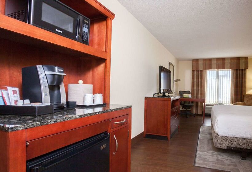 هتل Hilton Garden Inn El Paso / University