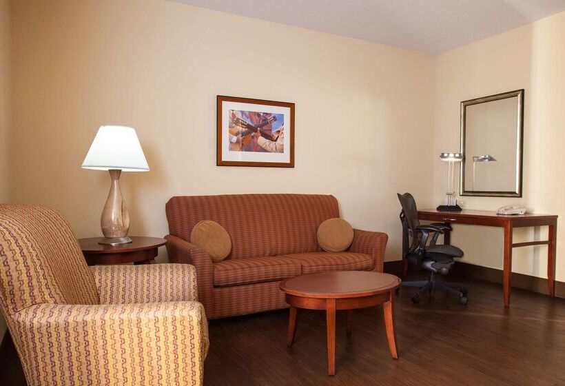 هتل Hilton Garden Inn El Paso / University