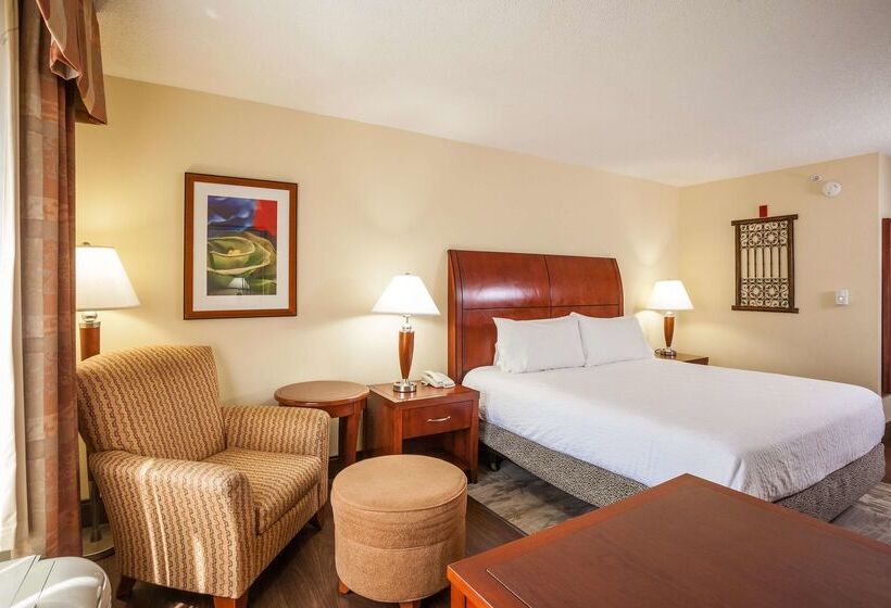 Hotel Hilton Garden Inn El Paso / University