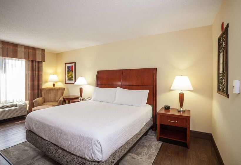 Hotel Hilton Garden Inn El Paso / University