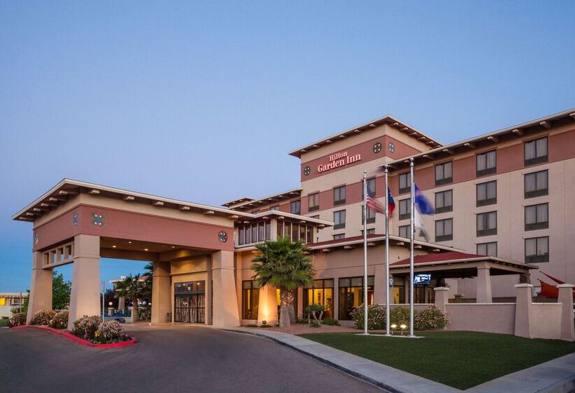 هتل Hilton Garden Inn El Paso / University