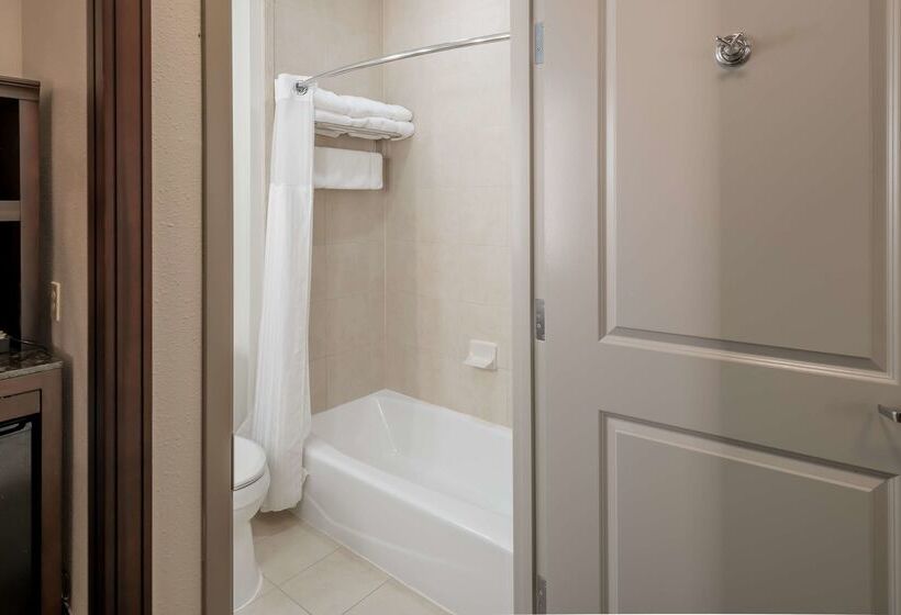 호텔 Hilton Garden Inn Granbury